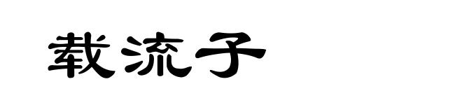 载流子