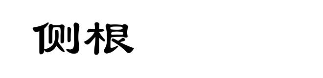 侧根