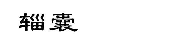 辎囊