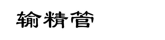输精管
