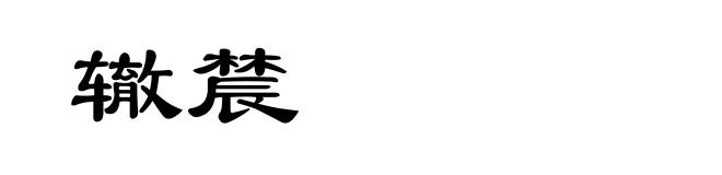 辙辳