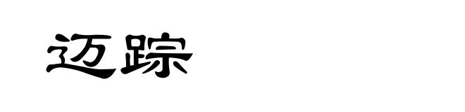迈踪