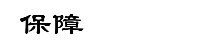 保障