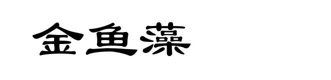 金鱼藻