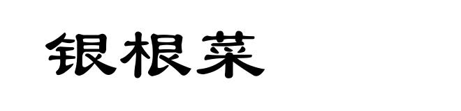 银根菜