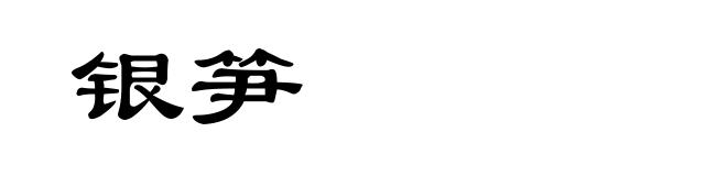 银笋