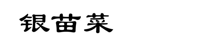 银苗菜