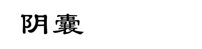 阴囊