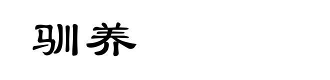 驯养