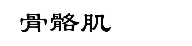 骨骼肌