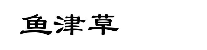 鱼津草