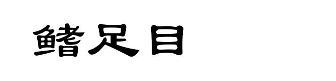 鳍足目