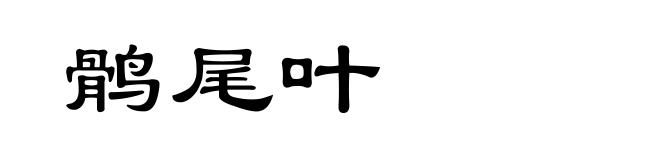 鹘尾叶