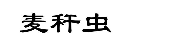 麦秆虫