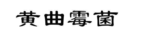黄曲霉菌