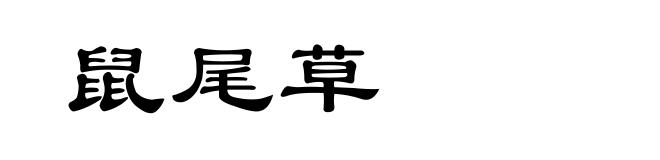 鼠尾草