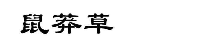 鼠莽草
