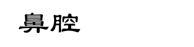 鼻腔