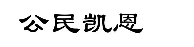 公民凯恩