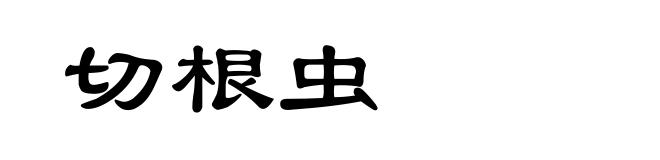 切根虫