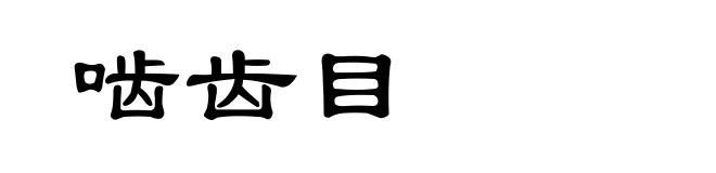 啮齿目