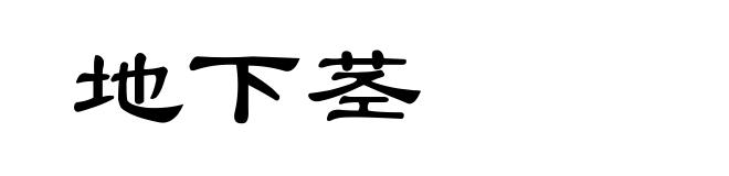 地下茎