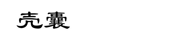 壳囊