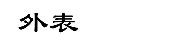 外表