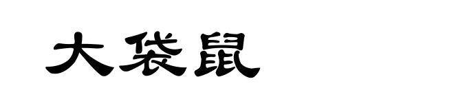 大袋鼠