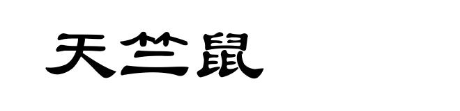 天竺鼠
