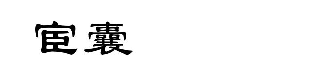 宦囊