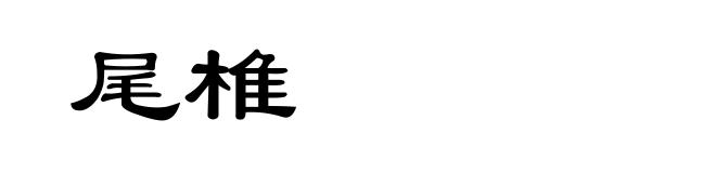 尾椎