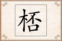 桮怎么写
