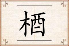 梄怎么写