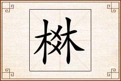 棥怎么写