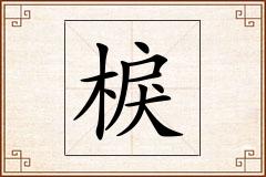 棙怎么写