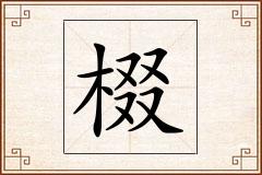棳怎么写