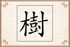 樹怎么写