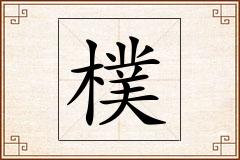樸怎么写