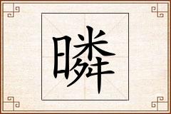 暽怎么写