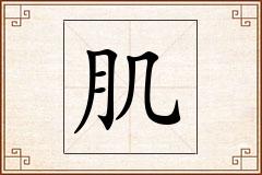 肌怎么写