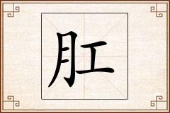 肛怎么写