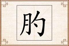 肑怎么写