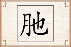 肔怎么写