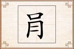 肙怎么写