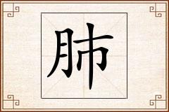 肺怎么写
