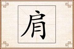 肩怎么写