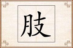 肢怎么写