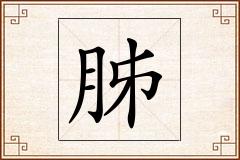 胏怎么写
