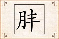 肨怎么写